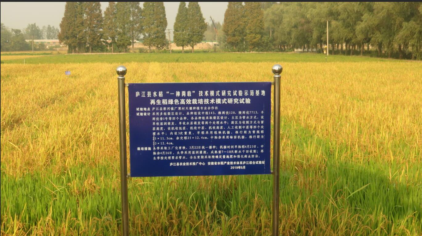 ���վW��Ӎ���]���h����患�������ԇ�ϲ�@�S��(�D��)